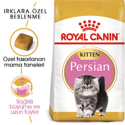 Royal Canin Kitten Persian Yavru İran Irk Maması 2 Kg x 2 Adet + Temizlik Mendili - 2
