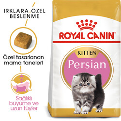 Royal Canin Kitten Persian Yavru İran Irk Maması 2 Kg x 2 Adet - Thumbnail
