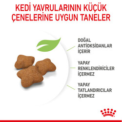 Royal Canin Kitten Sterilised Kısırlaştırılmış Yavru Kedi Maması 2 Kg + Temizlik Mendili - 7