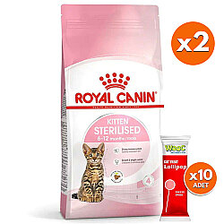 Royal Canin Kitten Sterilised Kısırlaştırılmış Yavru Kedi Maması 2 Kg x 2 Adet + 10 Adet Wooc Lolipop Ödül - Royal Canin