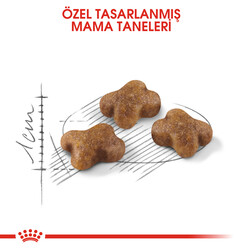 Royal Canin BOX Kitten Yavru Kedi Maması 2 Kg + 2 Adet Royal Canin Kitten 85 Gr Yaş Mama + Temizlik Mendili - Thumbnail