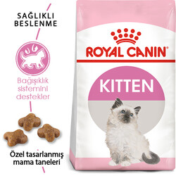 Royal Canin BOX Kitten Yavru Kedi Maması 2 Kg + 2 Adet Royal Canin Kitten 85 Gr Yaş Mama - Thumbnail