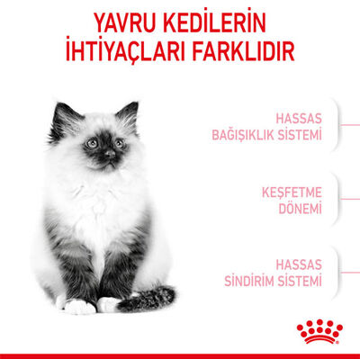 Royal Canin Kitten Yavru Kedi Maması 4 Kg + Crocus Cream Ödül 4x15 Gr