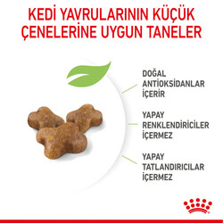 Royal Canin Kitten Yavru Kedi Maması 4 Kg + Crocus Cream Ödül 4x15 Gr - Thumbnail