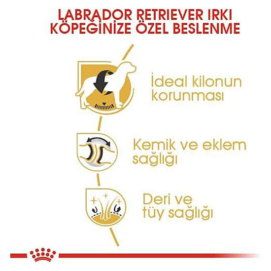 Royal Canin Labrador Retriever Irk Köpek Maması 12 Kg + Temizlik Mendili - 3