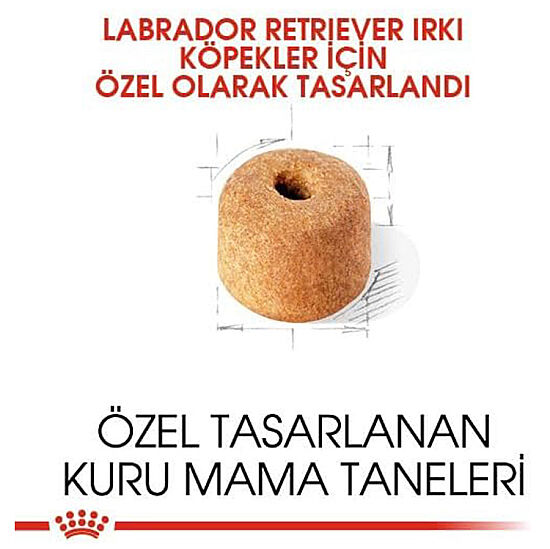 Royal Canin Labrador Retriever Irk Köpek Maması 12 Kg + Temizlik Mendili - 4