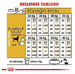 Royal Canin Labrador Retriever Irk Köpek Maması 12 Kg + Temizlik Mendili - 8