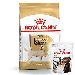 Royal Canin Labrador Retriever Irk Köpek Maması 12 Kg + 3 Adet Royal Canin Köpek Ödülü - Royal Canin