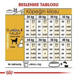 Royal Canin Labrador Retriever Irk Köpek Maması 12 Kg - Thumbnail