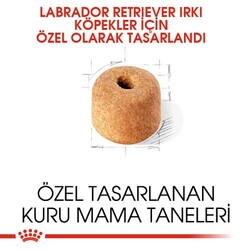 Royal Canin Labrador Retriever Irk Köpek Maması 12 Kg + Temizlik Mendili - Thumbnail