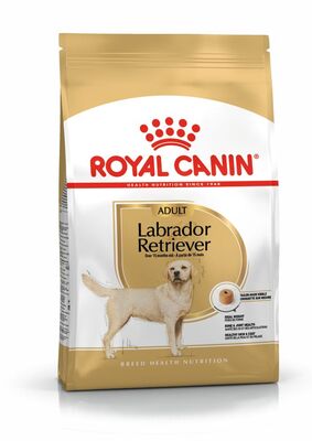 Royal Canin Labrador Retriever Irk Köpek Maması 12 Kg + 4 Adet Temizlik Mendili