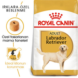 Royal Canin Labrador Retriever Irk Köpek Maması 12 Kg + 4 Adet Temizlik Mendili - Thumbnail