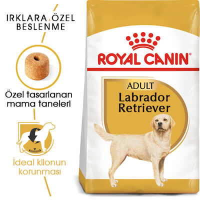 Royal Canin Labrador Retriever Irk Köpek Maması 12 Kg + Temizlik Mendili