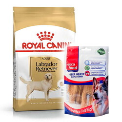Royal Canin - Royal Canin Labrador Retriever Irk Köpek Maması 12 Kg + Esca Food Köpek Ödülü