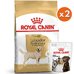 Royal Canin Labrador Retriever Irk Köpek Maması 12 Kg x 2 Adet + 6 Adet Royal Canin Köpek Ödülü - 1