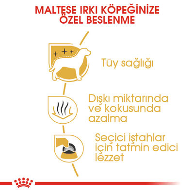 Royal Canin Maltese Bichon Maltais Köpek Maması 1,5 Kg + Esca Food Köpek Ödülü