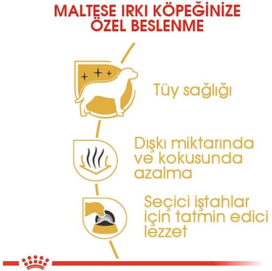 Royal Canin Maltese Bichon Maltais Köpek Maması 1,5 Kg + Temizlik Mendili - 4