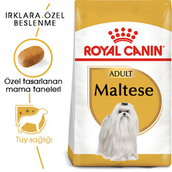 Royal Canin - Royal Canin Maltese Bichon Maltais Köpek Maması 1.5 Kg + Temizlik Mendili