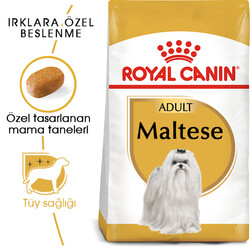 Royal Canin - Royal Canin Maltese Bichon Maltais Köpek Maması 1,5 Kg + Temizlik Mendili