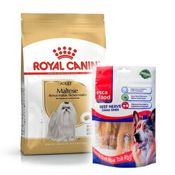 Royal Canin - Royal Canin Maltese Bichon Maltais Köpek Maması 1,5 Kg + Esca Food Köpek Ödülü