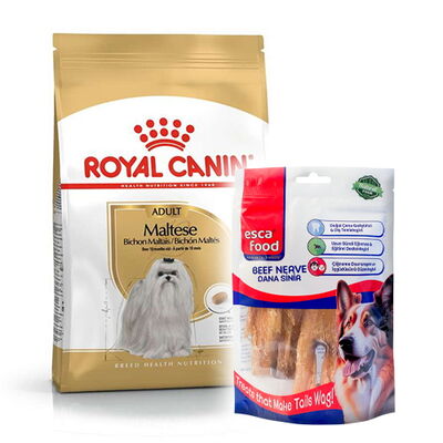 Royal Canin Maltese Bichon Maltais Köpek Maması 1,5 Kg + Esca Food Köpek Ödülü Royal Canin Maltese Bichon Maltais Köpek Maması 1,5 Kg + Esca Food Köpek Ödülü