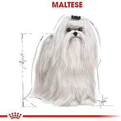 Royal Canin Maltese Bichon Maltais Köpek Maması 1,5 Kg x 2 Adet + Temizlik Mendili - 5