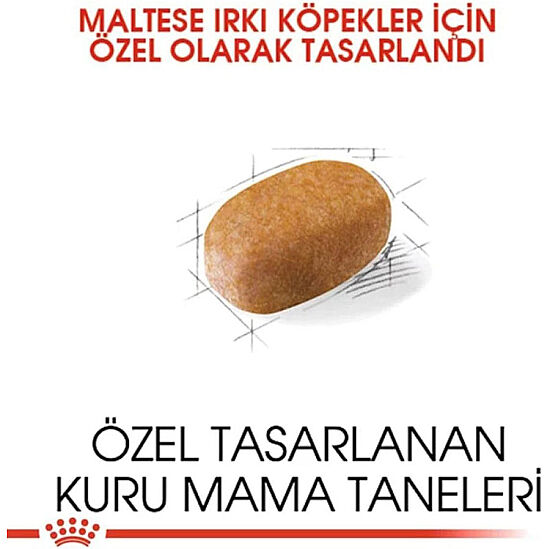 Royal Canin Maltese Bichon Maltais Köpek Maması 1,5 Kg x 2 Adet + Temizlik Mendili - 7
