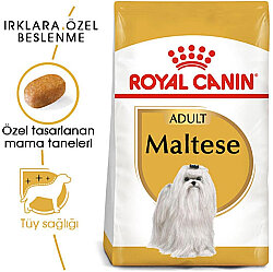 Royal Canin Maltese Bichon Maltais Köpek Maması 1,5 Kg x 2 Adet + Temizlik Mendili - 4