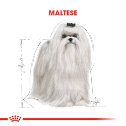 Royal Canin Maltese Bichon Maltais Köpek Maması 1,5 Kg x 2 Adet + Temizlik Mendili - 5