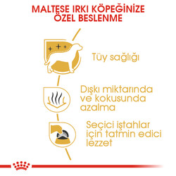 Royal Canin Maltese Bichon Maltais Köpek Maması 1,5 Kg x 2 Adet + Temizlik Mendili - 3