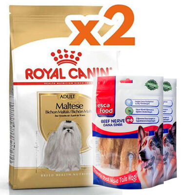 Royal Canin Maltese Bichon Maltais Köpek Maması 1,5 Kg x 2 Adet + 2 Adet Esca Food Köpek Ödülü