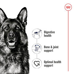Royal Canin Maxi Adult Büyük Irk Köpek Konservesi 410 Gr - 7