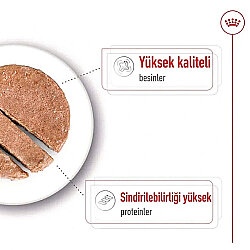 Royal Canin Maxi Adult Büyük Irk Köpek Konservesi 410 Gr x 12 Adet - 4
