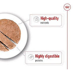 Royal Canin Maxi Adult Büyük Irk Köpek Konservesi 410 Gr x 6 Adet - 3