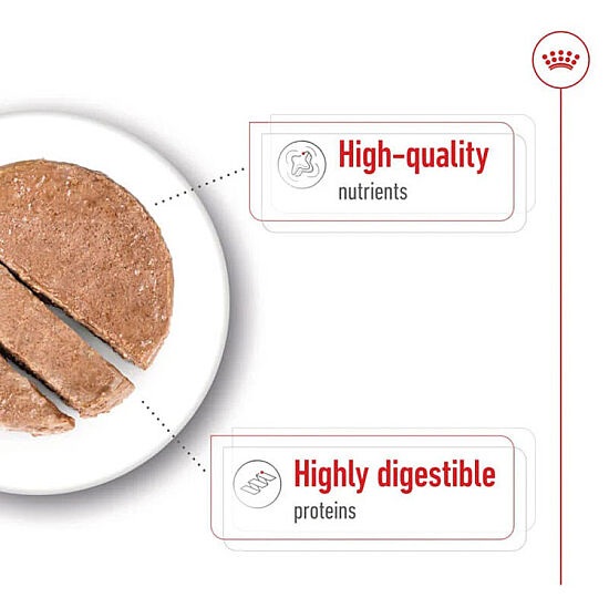 Royal Canin Maxi Adult Büyük Irk Köpek Konservesi 410 Gr x 6 Adet - 3