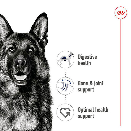 Royal Canin Maxi Adult Büyük Irk Köpek Konservesi 410 Gr x 6 Adet - 4