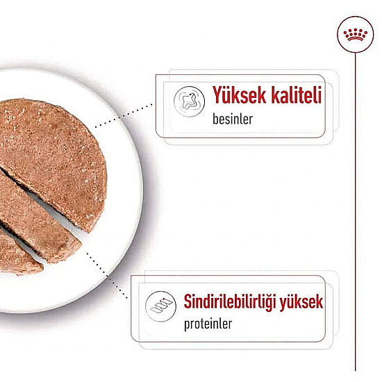 Royal Canin Maxi Adult Büyük Irk Köpek Konservesi 410 Gr x 6 Adet - 3