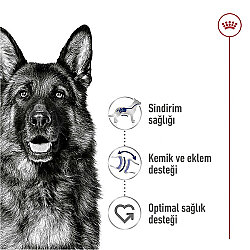 Royal Canin Maxi Adult Büyük Irk Köpek Konservesi 410 Gr x 6 Adet - 4