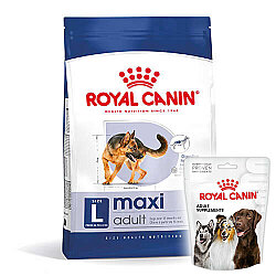 Royal Canin Maxi Adult Büyük Irk Köpek Maması 15 Kg + 3 Adet Royal Canin Köpek Ödülü - Royal Canin