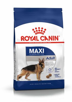 Royal Canin Maxi Adult Büyük Irk Köpek Maması 15 Kg + 32OZ Çelik Derin Mama Kabı