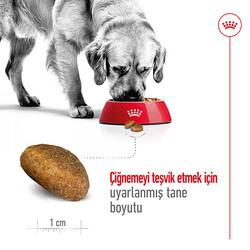 Royal Canin Maxi Adult Büyük Irk Köpek Maması 15 Kg + Temizlik Mendili - Thumbnail
