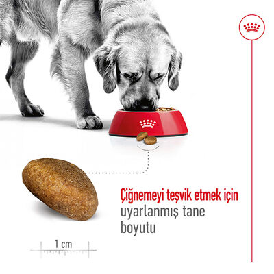 Royal Canin Maxi Adult Büyük Irk Köpek Maması 15 Kg + Temizlik Mendili