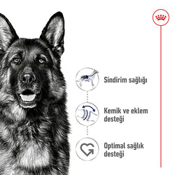 Royal Canin Maxi Adult Büyük Irk Köpek Maması 15 Kg + Temizlik Mendili - Thumbnail