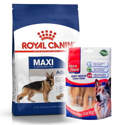 Royal Canin - Royal Canin Maxi Adult Büyük Irk Köpek Maması 15 Kg + Esca Food Köpek Ödülü