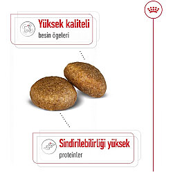 Royal Canin Maxi Adult Büyük Irk Köpek Maması 15 Kg x 2 Adet + Temizlik Mendili - 4