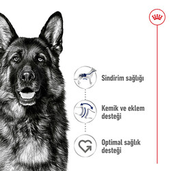 Royal Canin Maxi Adult Büyük Irk Köpek Maması 15 Kg x 2 Adet + Temizlik Mendili - Thumbnail