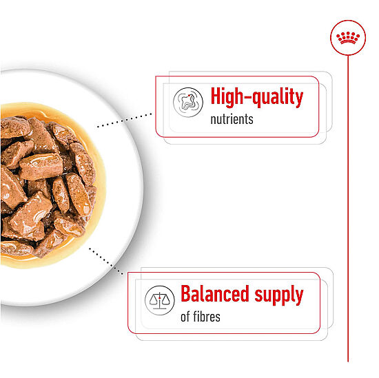 Royal Canin Maxi Adult Gravy Köpek Yaş Maması 140 Gr - 8