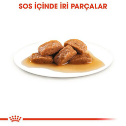 Royal Canin Maxi Adult Gravy Köpek Yaş Maması 140 Gr - Thumbnail