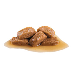 Royal Canin Maxi Adult Gravy Köpek Yaş Maması 140 Gr x 10 Adet - 4