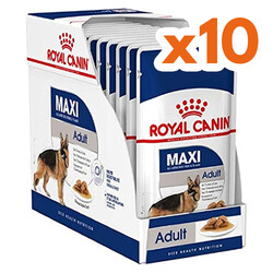 Royal Canin - Royal Canin Maxi Adult Gravy Köpek Yaş Maması 140 Gr x 10 Adet